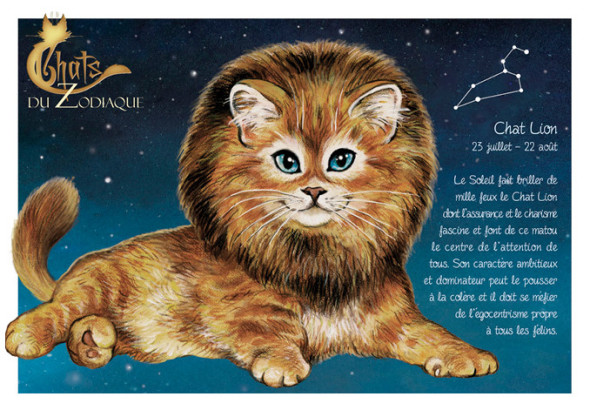 Carte Postale Chat "Lion" / Au Bord des Continents