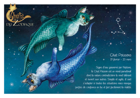 Carte Postale Chat "Poisson" / Au Bord des Continents