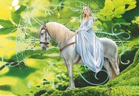 carte postale brucero princesse fée