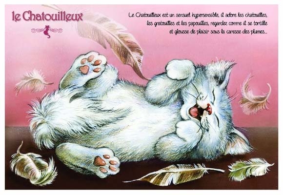 Carte Postale Chat "Le Chatouilleux" / Au Bord des Continents