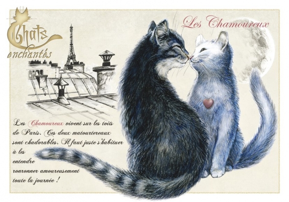 Carte Postale Chat "Chamoureux" / Au Bord des Continents