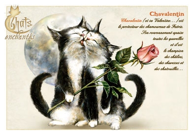 Carte Postale Chat "Chavalentin" / Carterie Chats