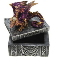Coffret Dragon violet 67201