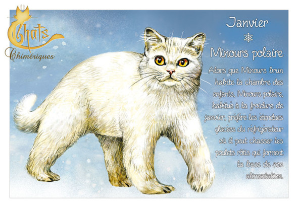 Carte Postale Chat "Janvier - Minours polaire" / Au Bord des Continents