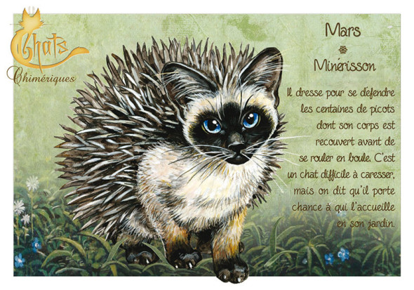 Carte Postale Chat "Mars - Minérisson" / Au Bord des Continents