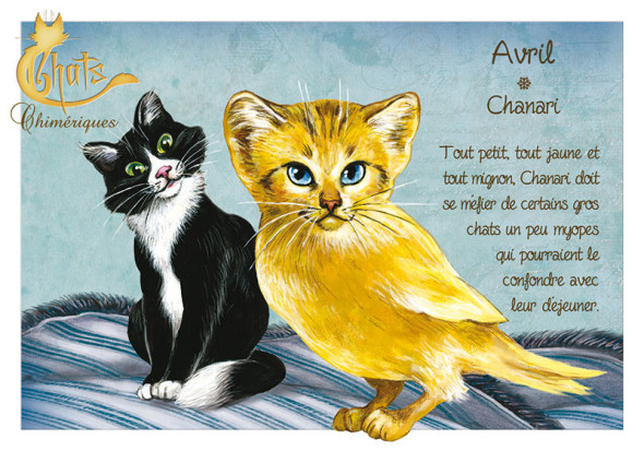 Carte Postale Chat "Avril - Chanari" / Au Bord des Continents