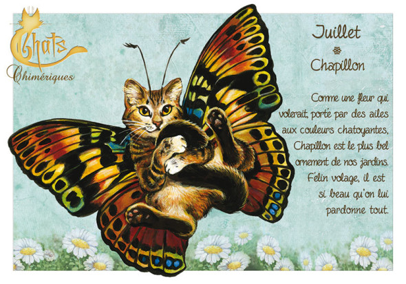 Carte Postale Chat "Juillet - Chapillon" / Séverine Pineaux