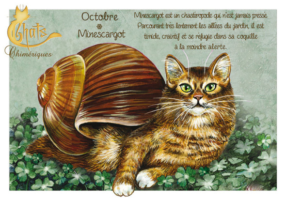 Carte Postale Chat "Octobre - Minetscargot" / Au Bord des Continents