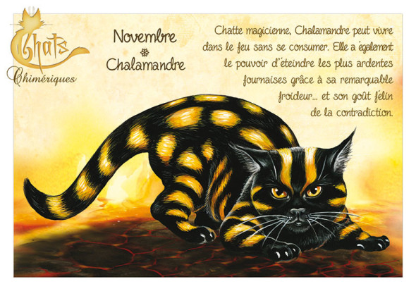 Carte Postale Chat "Novembre - Chalamandre" / Séverine Pineaux
