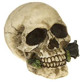 Crâne avec rose noire / Meilleurs ventes