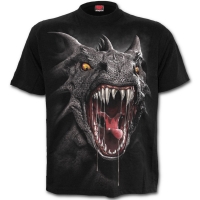T-Shirt Spiral Direct Roar of the Dragon