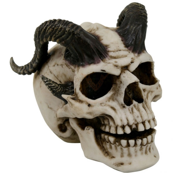 Crâne de Démon / Figurines Gothiques
