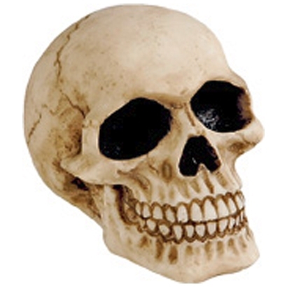 Petit Crâne / Figurines Gothiques