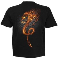 Spiral Direct tshirt Dragon Rock Guardian TR364600