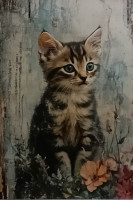 Carte Postale Chat