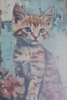 Carte Postale Chat