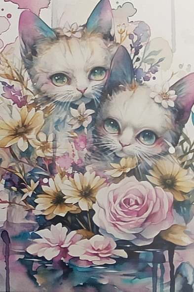 Carte Postale Chat / Nouveautés