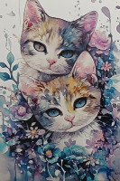 Carte Postale Chat