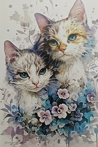 Carte Postale Chat / Carterie Chats