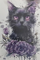 Carte Postale Chat