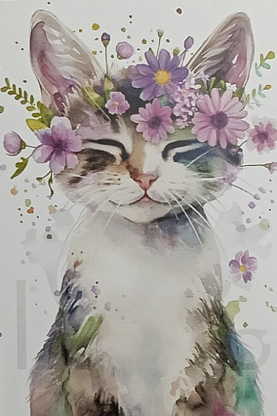 Carte Postale Chat / Carterie Chats