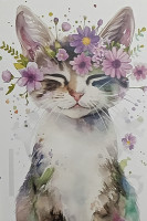 Carte Postale Chat