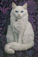 Carte Postale Chat