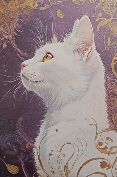 Carte Postale Chat / Carterie Chats