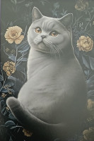 Carte Postale Chat