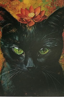 Carte Postale Chat