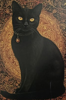 Carte Postale Chat