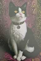 Carte Postale Chat
