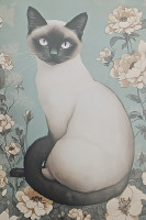 Carte Postale Chat