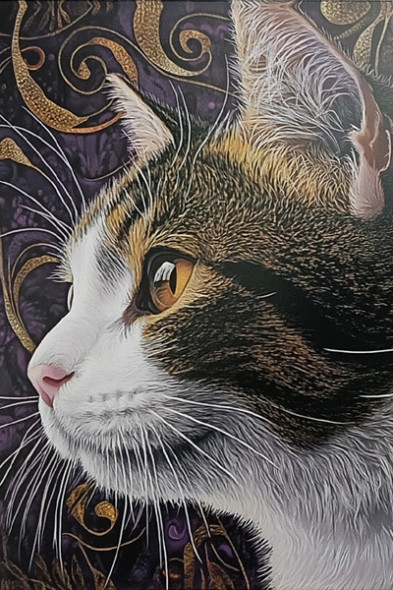 Carte Postale Chat / Nouveautés