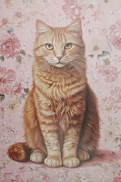 Carte Postale Chat