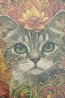 Carte Postale Chat