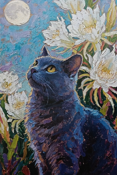 Carte Postale Chat / Carterie Chats