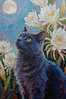 Carte Postale Chat