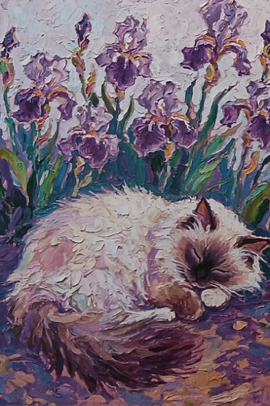 Carte Postale Chat / Nouveautés