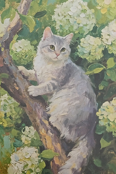 Carte Postale Chat / Nouveautés