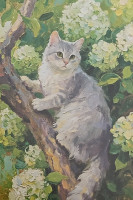 Carte Postale Chat