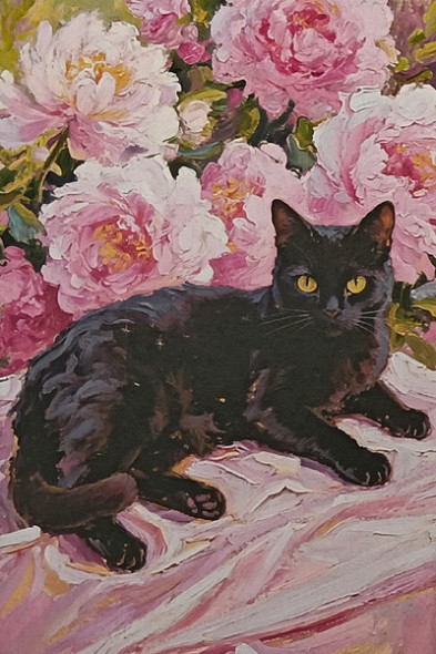 Carte Postale Chat / Carterie Chats