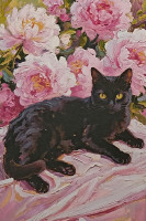 Carte postale Chat