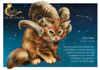 carte postale severine pineaux chat Bélier CPK161