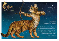 carte postale severine pineaux chat Sagittaire CPK169