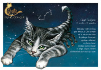 carte postale severine pineaux chat Scorpion CPK168