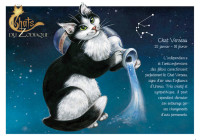 carte postale severine pineaux chat Verseau CPK171