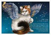 carte postale severine pineaux chat Vierge CPK166