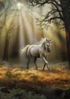carte anne stokes licorne glimpse of a unicorn