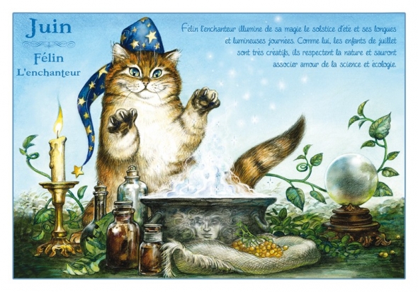 Carte Postale Chat Juin "Félin l'Enchanteur" / Au Bord des Continents